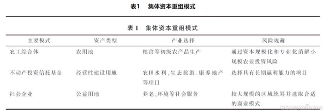 PG电子官方网站陈明：共同富裕、资本重组与农村集体经济革新