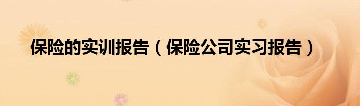 PG电子官方网站保险的实训报告（保险公司实习报告）