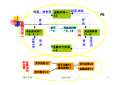 PG电子金融学课件最新版PPT_金融学课件下载_金融学课件图片-淘豆网(图27)